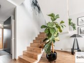  – Nt ekspertai be procentų - nuotraukos Nr. 19