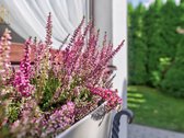 Nuomojamas šviesus, itin erdvus namas ramioje - nuotraukos Nr. 45