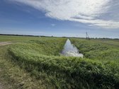Parduodamas 8,5 Ha Sklypas Šalia Klaipėdos – - nuotraukos Nr. 2