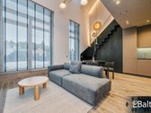 Apartamentai įspūdingo aukščio lubomis ir 15+ - nuotraukos Nr. 4