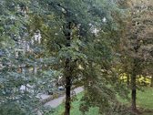 Nt agentūra "Du Procentai" siūlo! - nuotraukos Nr. 11