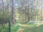 Šioje sodyboje rasite tai, apie ką svajoja - nuotraukos Nr. 2