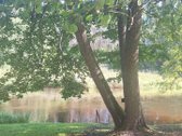 Šioje sodyboje rasite tai, apie ką svajoja - nuotraukos Nr. 3