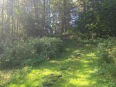 Šioje sodyboje rasite tai, apie ką svajoja - nuotraukos Nr. 5