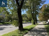 Nuomojamas 1 kambario butas Dzūkų g., - nuotraukos Nr. 15