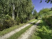 Parduodamas 6 arų sodo sklypas Akmeniškėse, - nuotraukos Nr. 6