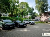 Ilgamečių medžių lajų žaluma, saulės - nuotraukos Nr. 31