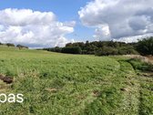 Parduodame du žemės sklypus, esančius vienas - nuotraukos Nr. 4