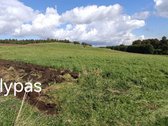 Parduodame du žemės sklypus, esančius vienas - nuotraukos Nr. 5