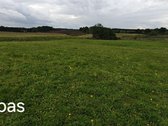 Parduodame du žemės sklypus, esančius vienas - nuotraukos Nr. 8