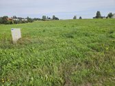 11 a namų valdos sklypas Grigaičiuose - - nuotraukos Nr. 4