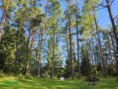 Parduodama namo dalis šalia Gražutės miško ir - nuotraukos Nr. 13