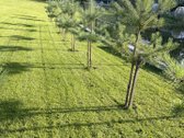 Parduodamas prižiuretas sklypas SB Nemunas, - nuotraukos Nr. 4