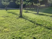 Parduodamas prižiuretas sklypas SB Nemunas, - nuotraukos Nr. 6