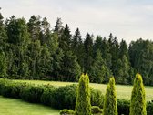 Parduodama Išskirtinė, Sodyba Tirkšliuose, - nuotraukos Nr. 20