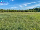 Pasinaudokite Galimybe Įsigyti Sklypą Su - nuotraukos Nr. 5