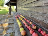Kalvų Ir Klonių Apsuptyje Parduodama - nuotraukos Nr. 14