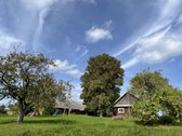 Kalvų Ir Klonių Apsuptyje Parduodama - nuotraukos Nr. 15