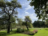 Kalvų Ir Klonių Apsuptyje Parduodama - nuotraukos Nr. 20