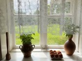 Kalvų Ir Klonių Apsuptyje Parduodama - nuotraukos Nr. 27