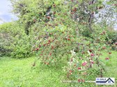 Parduodamas gyvenamasis namas Kelmės r., - nuotraukos Nr. 14