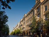 Erdvus Ir Šviesus 2 Kambarių Butas - Gedimino - nuotraukos Nr. 5