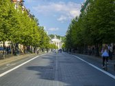 Erdvus Ir Šviesus 2 Kambarių Butas - Gedimino - nuotraukos Nr. 15