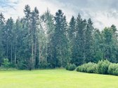 Parduodama Išskirtinė, Sodyba Tirkšliuose, - nuotraukos Nr. 48