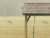 Parduodama Išskirtinė, Sodyba Tirkšliuose, - nuotraukos Nr. 52