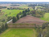 Parduodamas 1,77 ha žemės ūkio paskirties - nuotraukos Nr. 8