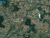 Parduodamas Sklypas Kėdainių R. Sav., Pašilių - nuotraukos Nr. 7