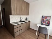Nuomojamas Naujai Įrengtas 21 m² Studijos - nuotraukos Nr. 3