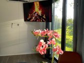 Jaukus 30 m² namelis gamtos apsuptyje - nuotraukos Nr. 3