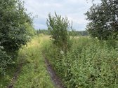 Pavadinimas - nuotraukos Nr. 14