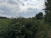 Pavadinimas - nuotraukos Nr. 16