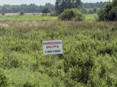 Pavadinimas - nuotraukos Nr. 18