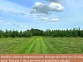Nuostabi vieta gyventi. - nuotraukos Nr. 15