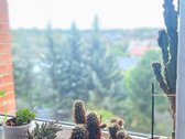 Parduodamas 4 kambarių butas mūriniame name - nuotraukos Nr. 15