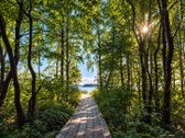 Išskirtinis sklypas prie Platelių ežero – - nuotraukos Nr. 11