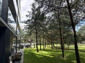 Nuomojamas Kokybiškai Įrengtas Butas „Pušų - nuotraukos Nr. 18