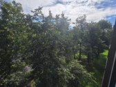 Labai Patogioje Vilniaus Vietoje, Žirmūnų - nuotraukos Nr. 6