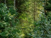Šviesus Ir Kokybiškai Įrengtas Dvibutis Šalia - nuotraukos Nr. 49