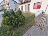 Nuomojamas 3 Kambarių Butas Naujajame - nuotraukos Nr. 5