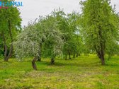 Parduodama unikali sodyba - buvusio - nuotraukos Nr. 10