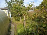 Parduodu sodą sodų bendrijoje "Draugystė". - nuotraukos Nr. 8