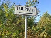 Parduodamas 11 arų namų valdos sklypas su - nuotraukos Nr. 2