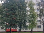 Butas Po Naujai Įrengtas, Geras Susisekimas - nuotraukos Nr. 28