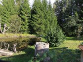 Parduodamas sodo namas dideliame 13 arų sodo - nuotraukos Nr. 36