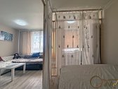 Šnipiškėse nuomojamas jaukus 1 kambario butas - nuotraukos Nr. 9