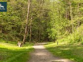 Parduodamas 3 Kambarių Butas Šalia Jomanto Parko - nuotraukos Nr. 26